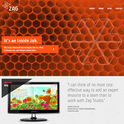 zag monochrome web design